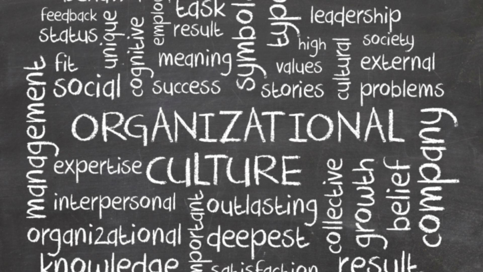 Processo seletivo: Entender a Cultura da empresa faz toda a diferença!